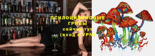амф Нефтекумск