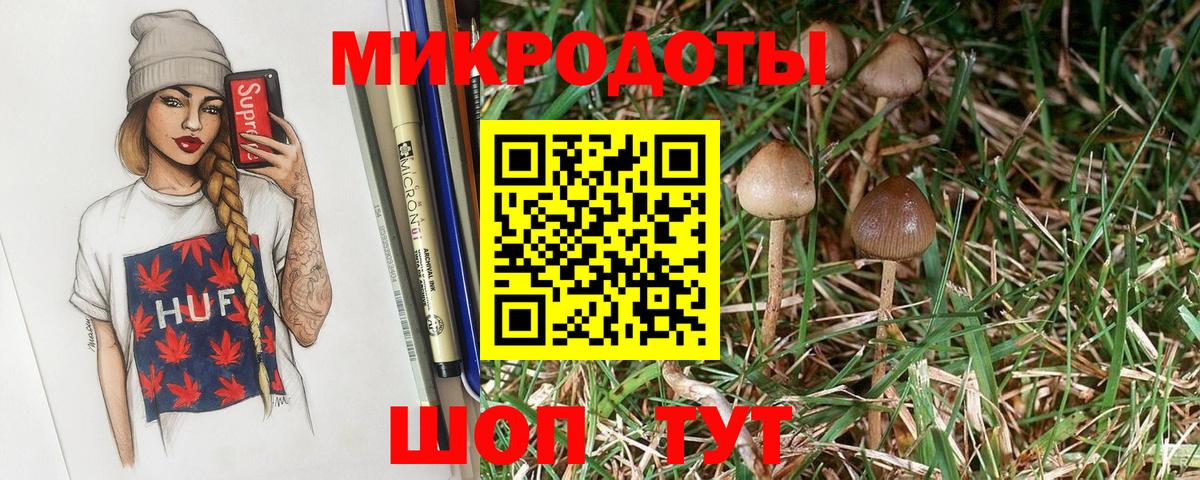 Псилоцибиновые грибы MAGIC MUSHROOMS  Псилоцибиновые грибы Psilocybine cubensis  Вход с VPN  Аксай 