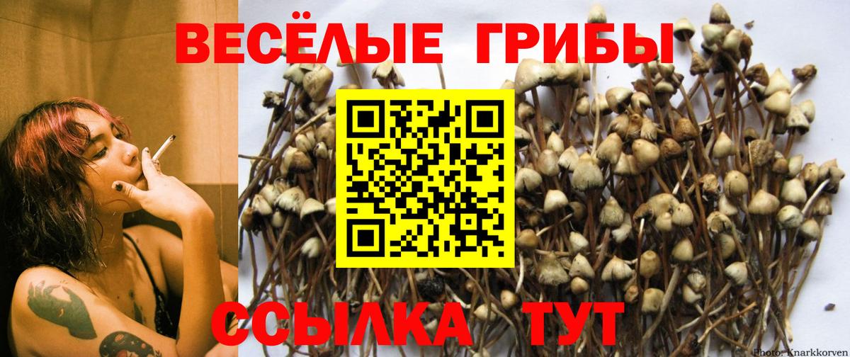Псилоцибиновые грибы ЛСД Аксай